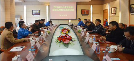 四川省中小企業(yè)協(xié)會副會長單位領(lǐng)導(dǎo)到成都彩虹集團(tuán)調(diào)研