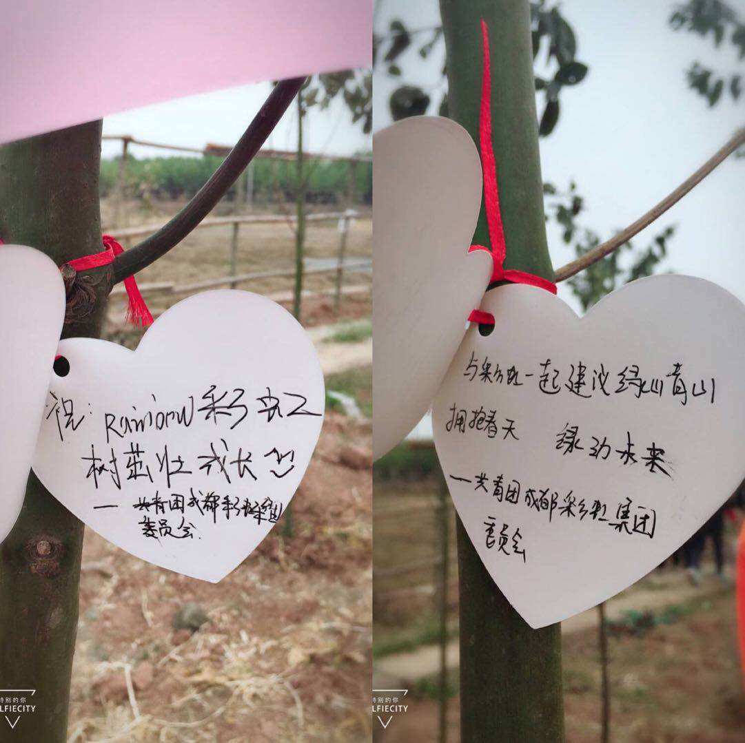 共青團(tuán)成都彩虹集團(tuán)團(tuán)委及團(tuán)員青年代表參加高新區(qū)植樹節(jié)志愿服務(wù)活動