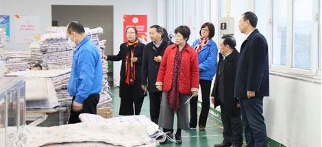 中國輕工業(yè)聯(lián)合會副會長何燁一行蒞臨成都彩虹集團參觀指導(dǎo)