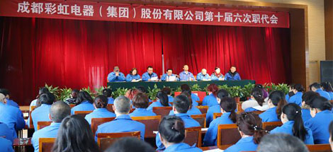 公司召開第十屆六次職工代表大會