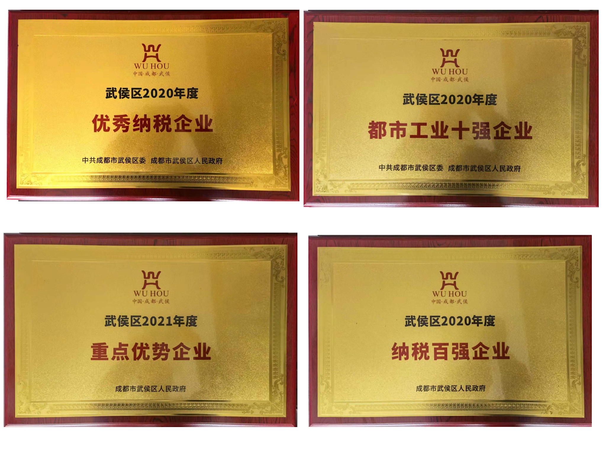 熱烈祝賀彩虹集團(tuán)受到武候區(qū)政府表彰